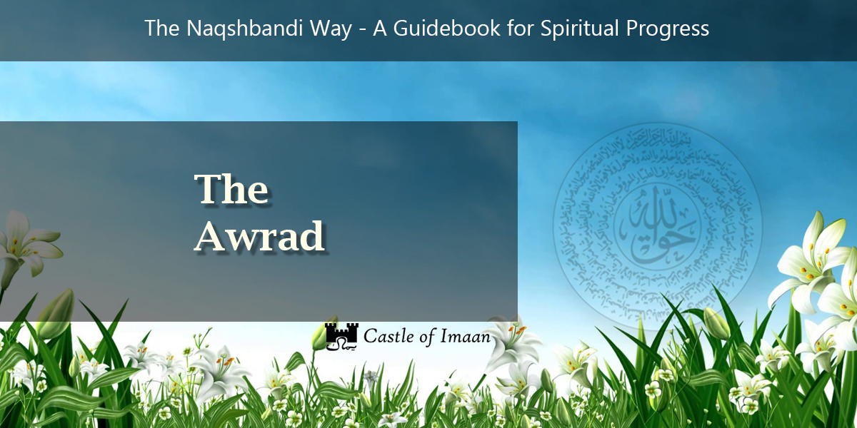 Naqshbandi Way