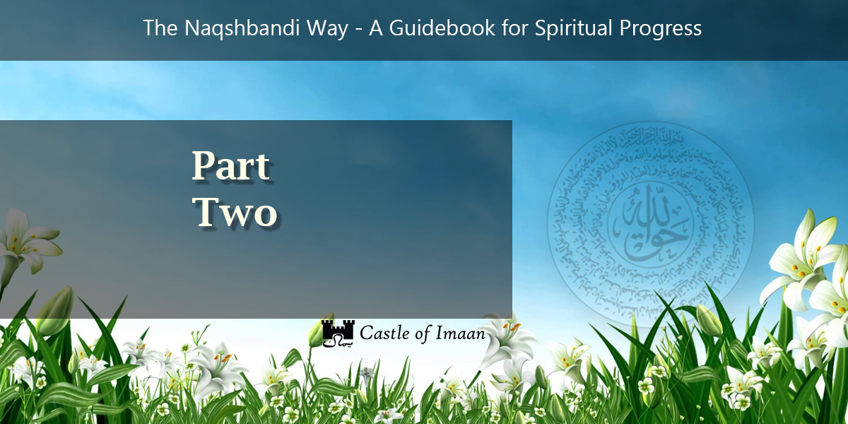 Naqshbandi Way