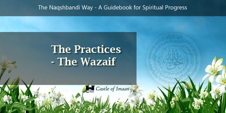 Naqshbandi Way