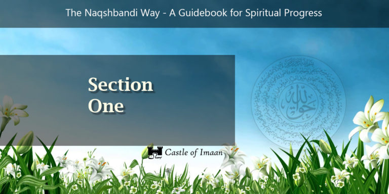 Naqshbandi Way