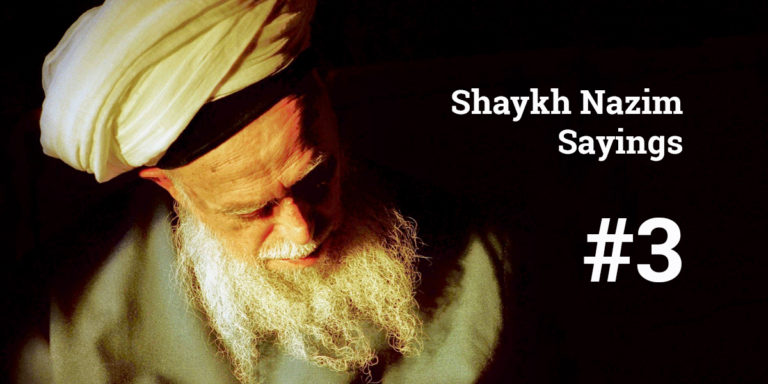 Shaykh Nazim Sayings