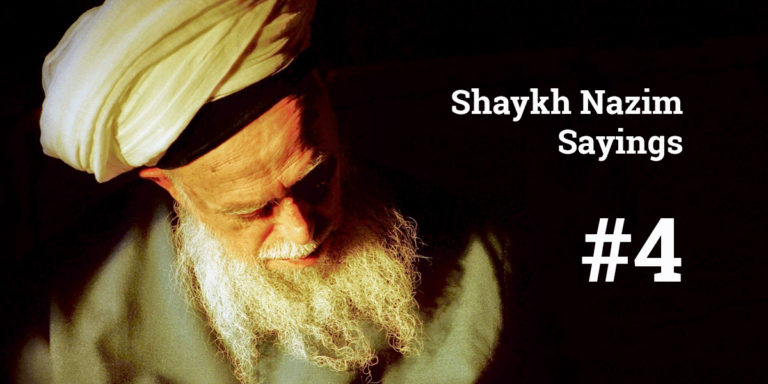 Shaykh Nazim Sayings