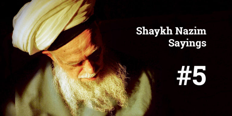 Shaykh Nazim Sayings