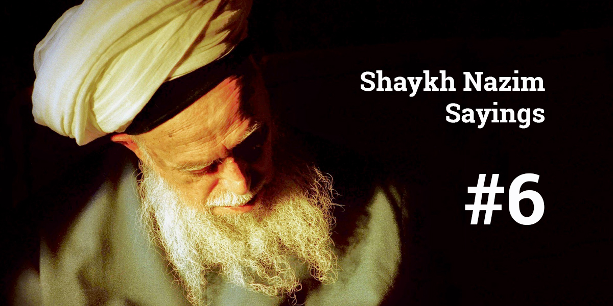 Shaykh Nazim Sayiings